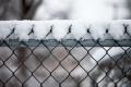 IMG_2536 snow topped fence